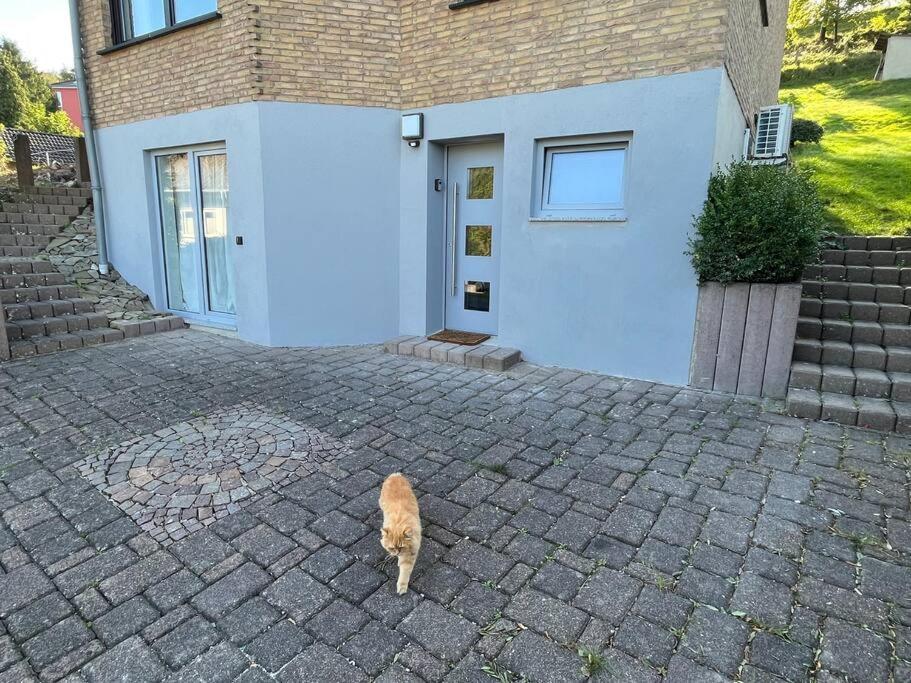 Gemuetliches Feriendomizil*Eifel* Vila Bad Muenstereifel Exterior foto